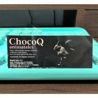 【轉蛋】ChocoQ海洋堂 日本松鼠動物模型公仔 絕版