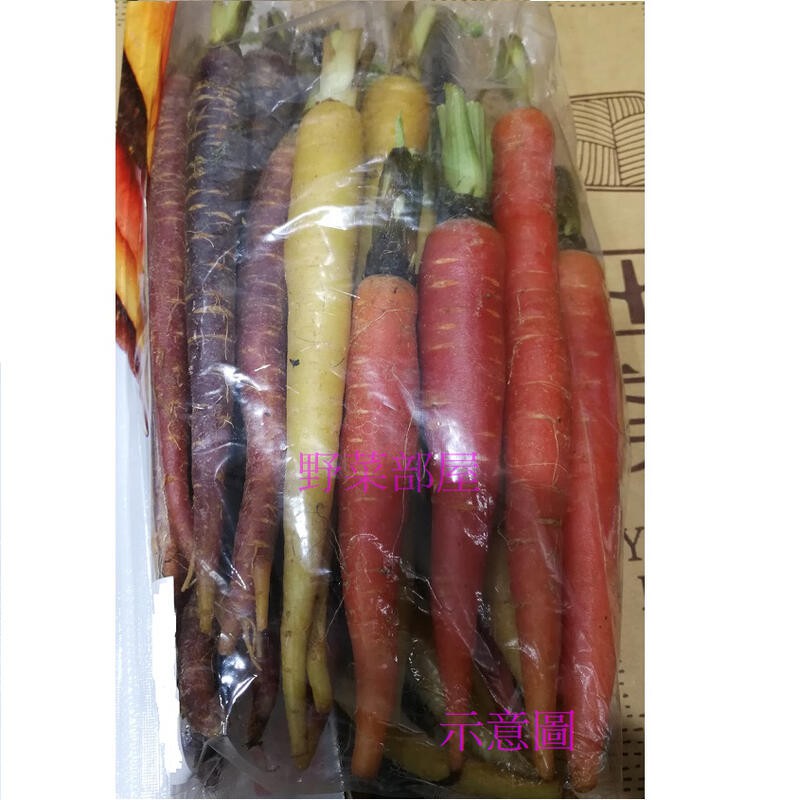 【萌田種子~】I40 彩色胡蘿蔔種子0.6公克 , 極適合生菜沙拉及各項烹煮 , 每包16元~