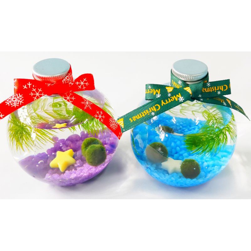 塑膠瓶 親子diy 水草瓶水草缸生態瓶魚草共生餐廳辦公桌裝飾療癒小物綠藻球瓶炸毛君團體禮品聖誕節交換禮物
