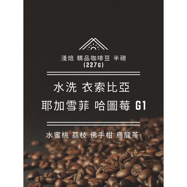 &lt;新品上市 咖啡豆專區&gt; 衣索比亞 耶加雪菲 哈圖莓 G1 咖啡豆 精品咖啡豆 莊園級咖啡豆 半磅 227g
