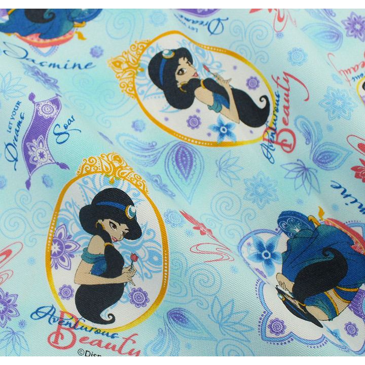 可做水洗式口罩套-現貨-米米2020年Disney迪士尼阿拉丁神燈～茉莉圖案棉布-日本限定款