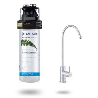 愛惠浦 除鉛碳纖維家用型淨水器 PurVive-PBS200 (大巨光)