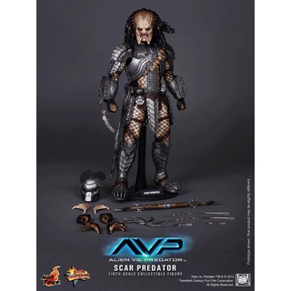 野獸國 Hot Toys MMS190 異形戰場 刀疤 異形 終極戰士 終戰 Scar Predator