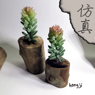多肉 模擬多肉 微景觀 P9 假多肉植物 辦公室小物 療癒紓壓生日禮物拍照道具居家裝飾咖啡屋商店擺飾迷你木頭底座盆栽