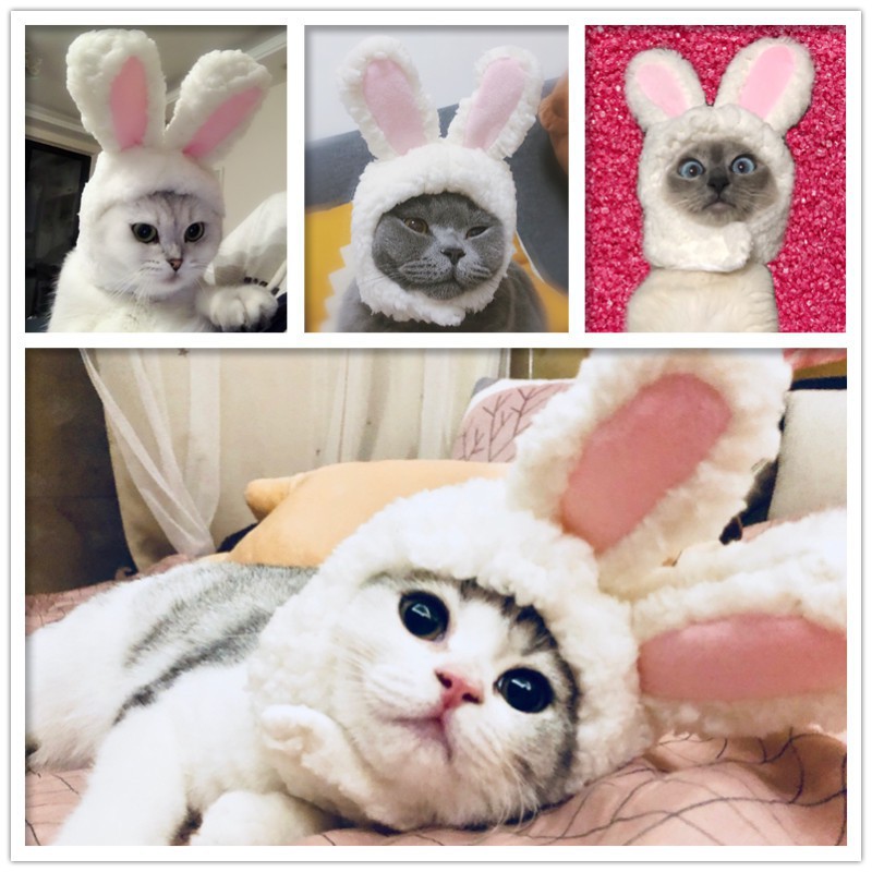 寵物用品迷你兔子耳朵寵物帽子寵物生日帽