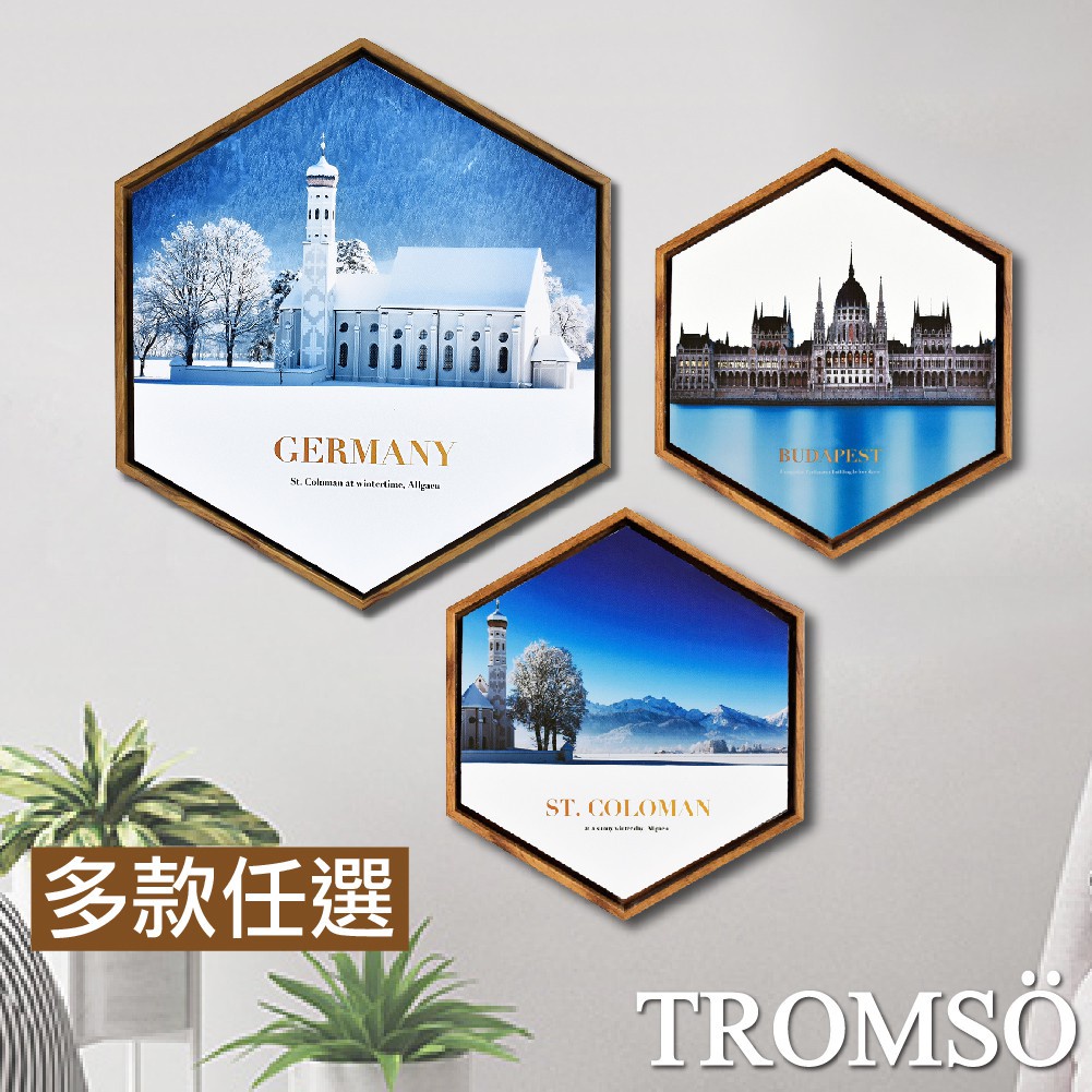 北歐風時代六角有框畫 多款任選(三幅一組)  台灣現貨 插畫木框壁掛裝飾畫牆面牆面掛畫六邊形室內設計【TROMSO】