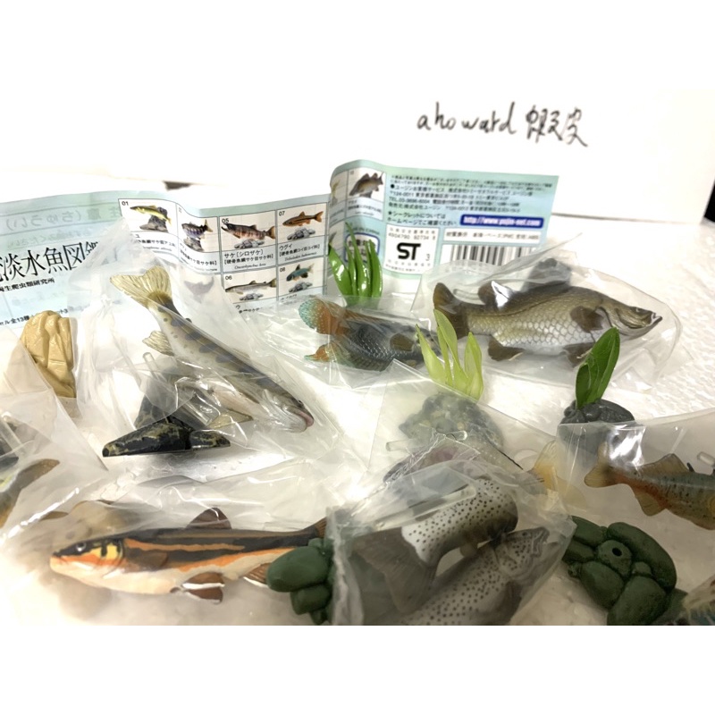 Yujin 原色淡水魚圖鑑公仔清流鱒魚水族館鰻魚觀賞魚淡水魚熱帶魚鯰魚金魚扭蛋擬真動物 蝦皮購物