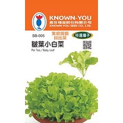 《農友種苗》特選貝比菜種子  SB-005 皺葉小白菜