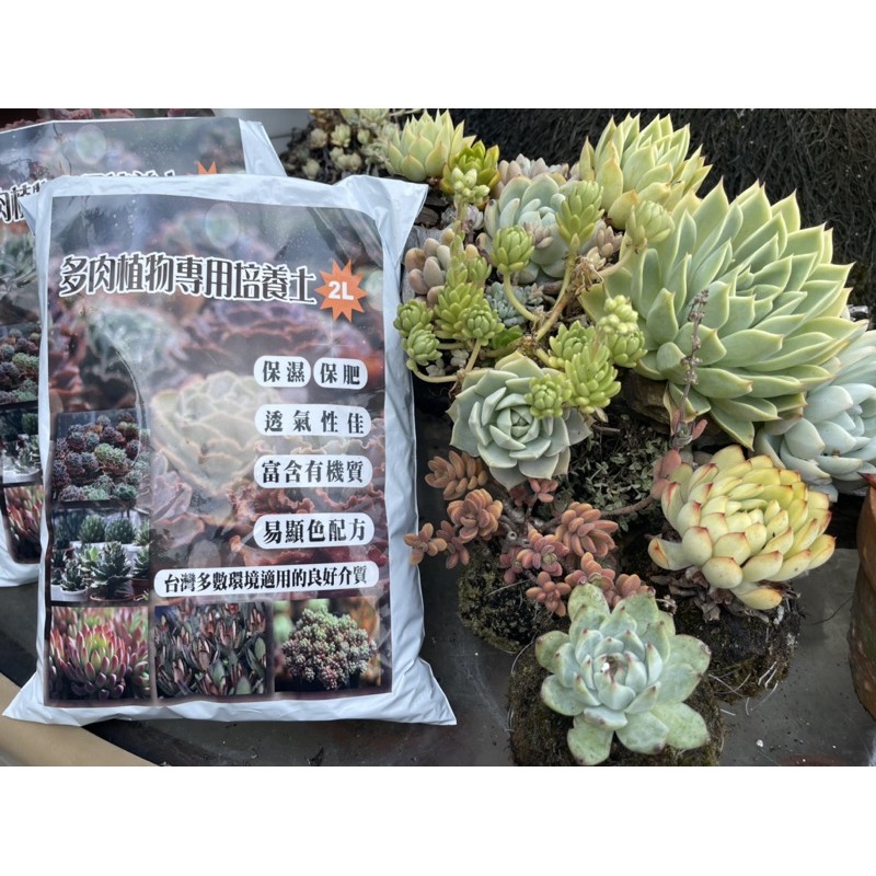 多肉植物專用培養土 多肉專用介質 新配方 贈微量元素 蝦皮購物