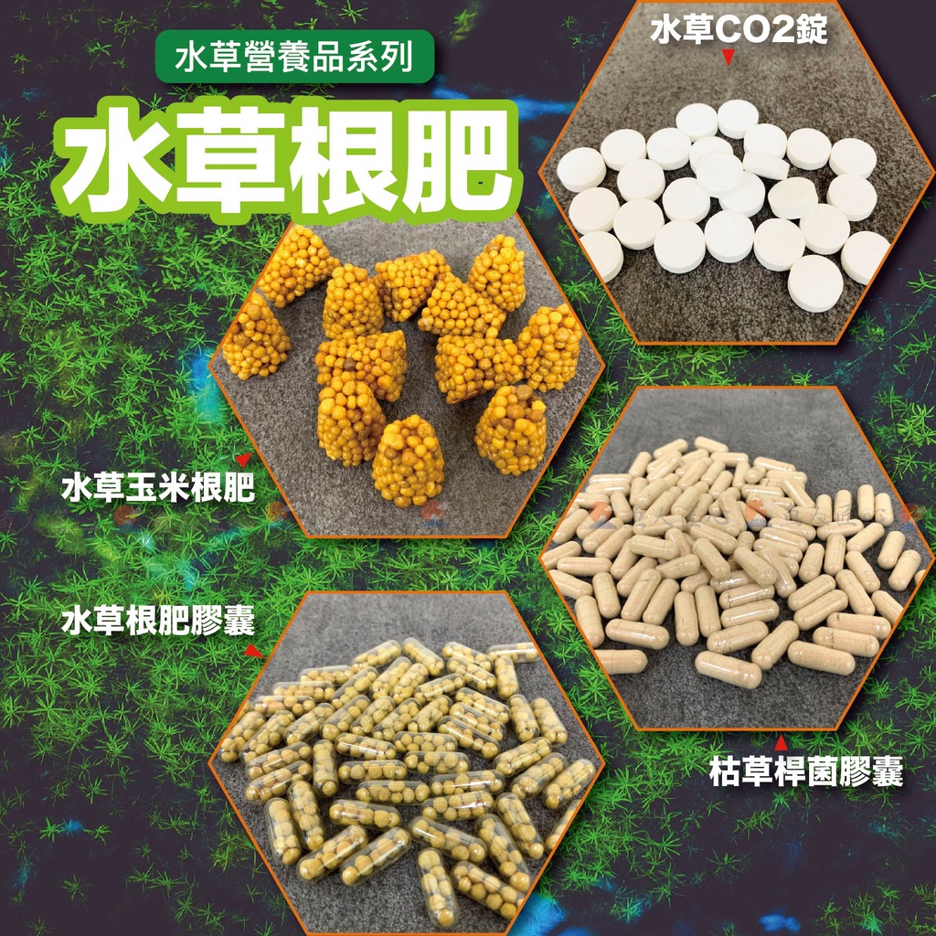 【魚匠水族】水草根肥〝有利於水草生長茁壯，不影響PH、KH值(水草CO2錠、水草玉米根肥、水草根肥膠囊、枯草桿菌膠囊