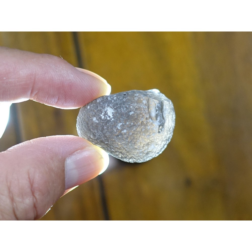 §能量礦石§ 亞利桑那隕石Saffordite Arizona天狼星隕石 重17.63g