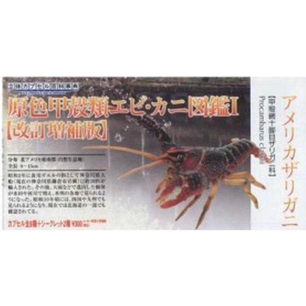 T-arts yujin 原色甲殼類 蝦蟹改訂版 美國螯蝦