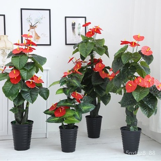 [優品藝術｜模擬綠植]假花紅掌大型家居仿真植物室內裝飾客廳花落地大盆栽綠植擺件盆景