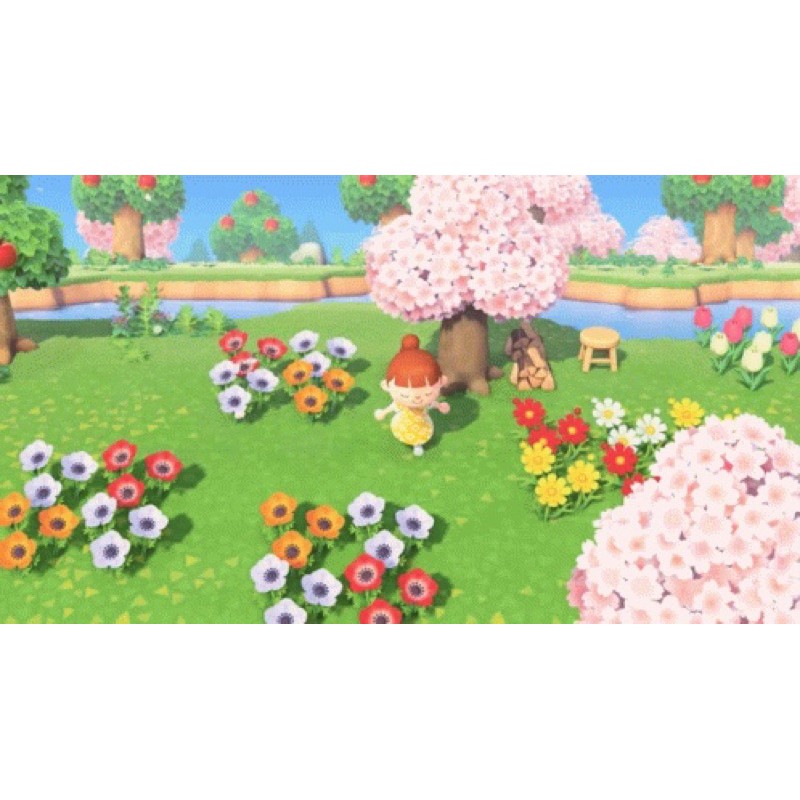 動物森友會異色花 動森藍玫瑰金玫瑰鈴蘭花株 動森異色花株 蝦皮購物