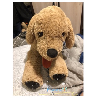 Ikea代購黃金獵犬伯恩山犬 Ikea狗狗 蝦皮購物