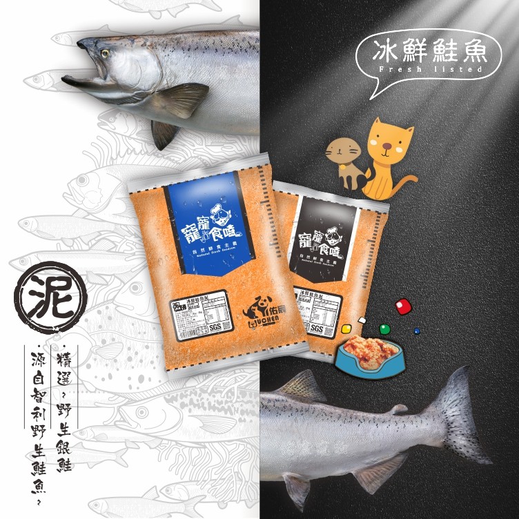 冰鮮寵物鮭魚泥 1 公斤 20入裝  狗飼料/牛羊肉泥/狗罐頭/貓飼料/雞肉泥/雞骨泥/鮮食/生食