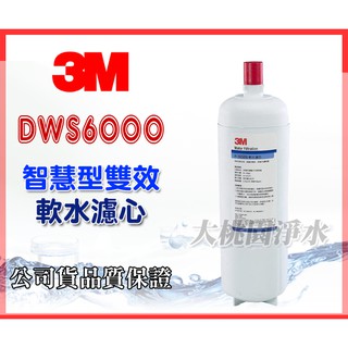 大桃園淨水~3M DWS6000-ST 雙效淨水器/濾水器 軟水替換濾心(P165BN P-165BN PE165BN)