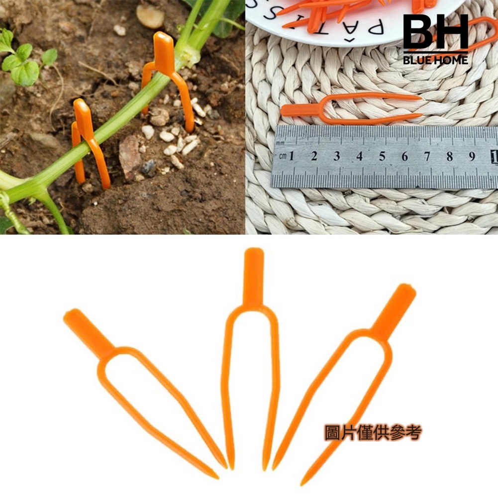 家居少女 50個匍匐莖固定夾 壓蔓器 草莓定植器 西瓜定植叉 蝦皮購物