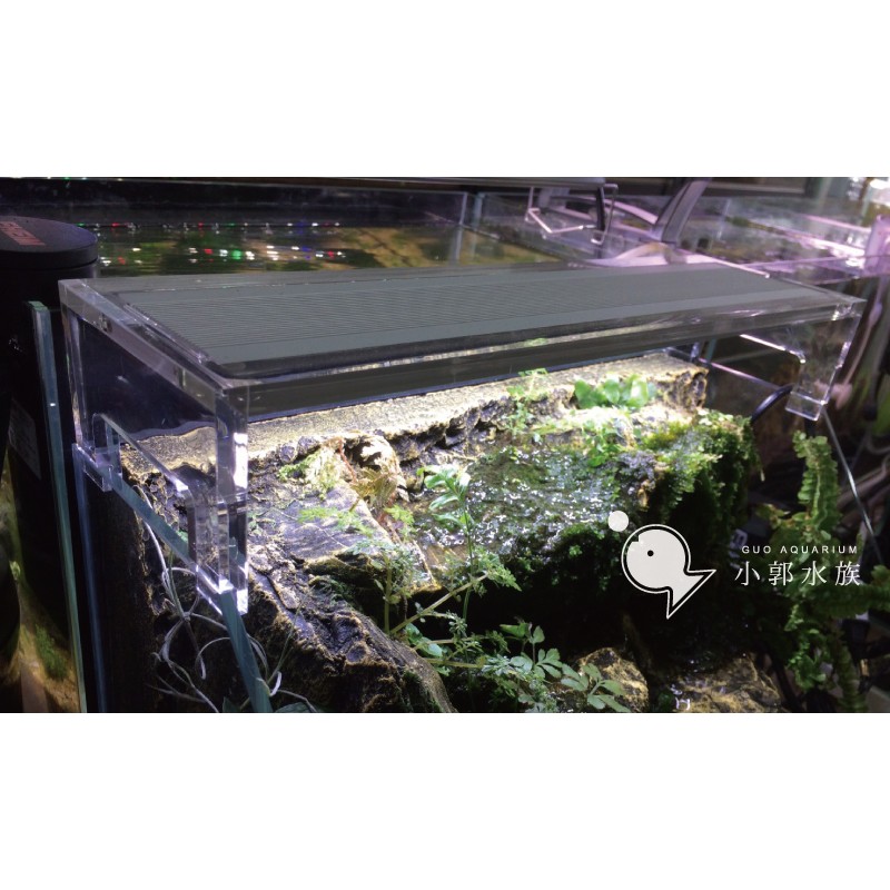 小郭水族-小螃蟹【壓克力 LED燈 1.5尺 /2尺 45cm /60cm】跨燈 植物燈 水草 生態缸 類水之天空、千尋