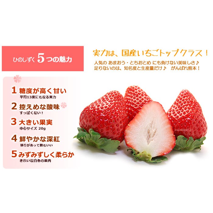 日本 熊本赤丸蜜糖草莓苗ひのしずく 蝦皮購物
