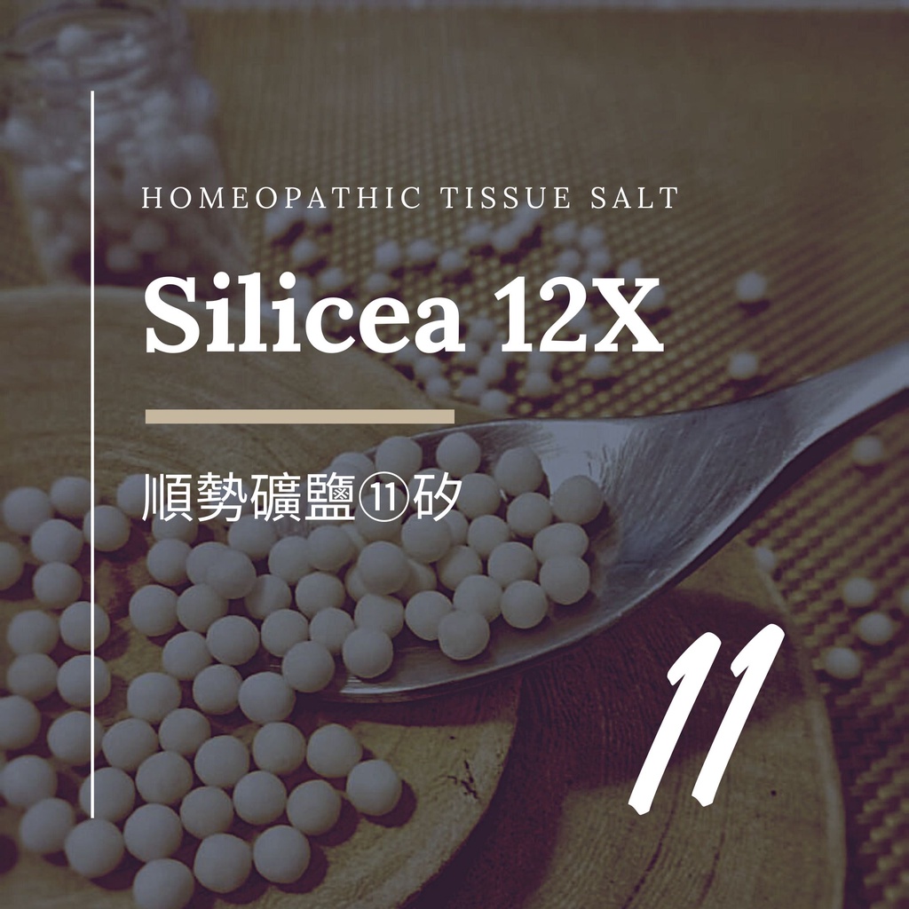 順勢十二組織鹽／礦鹽 Silicea【⑪矽 12X】Tissue Salt 6克 順勢糖球 食在自在