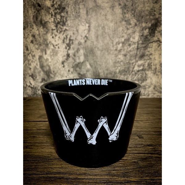 陶器鉢2個セット plants never die