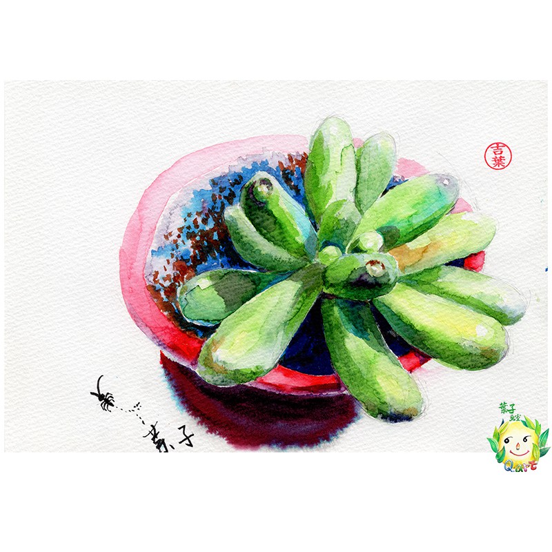 P5 植物多肉植物水彩watercolor 蝦皮購物
