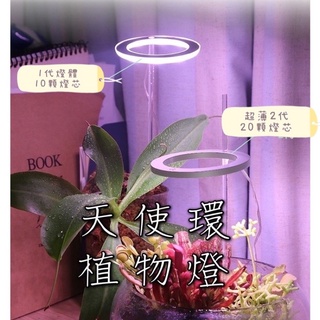 臺灣現貨 植物補光燈E3-1 植物燈 燈 多肉植物 植物生長燈 室內植物 多肉植物燈 多肉燈 led植物燈 植物燈全光譜