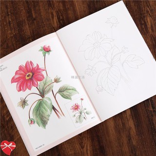 限時 99免運 現貨 舒壓著色本畫畫本塗鴉本韓國flower Garden涂色本花的庭院成人減壓花卉花朵涂鴉繪畫著 蝦皮購物