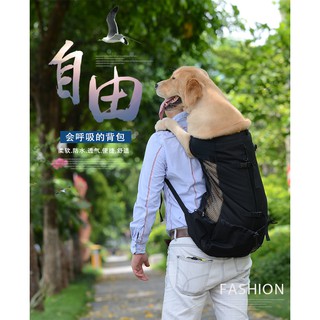 🎒日本道格新款寵物外出旅行雙肩背袋