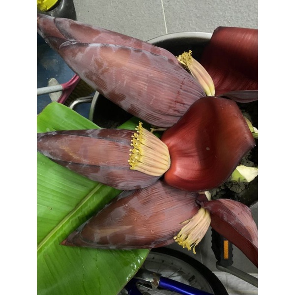 香蕉花 芭蕉花600 800g Hoa Chuối 蝦皮購物
