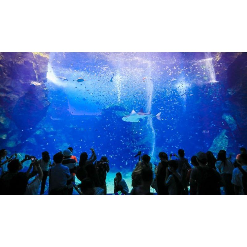 Xpark🐟青埔水族館電子門票 高鐵/桃園捷運旁 促銷 售後不退