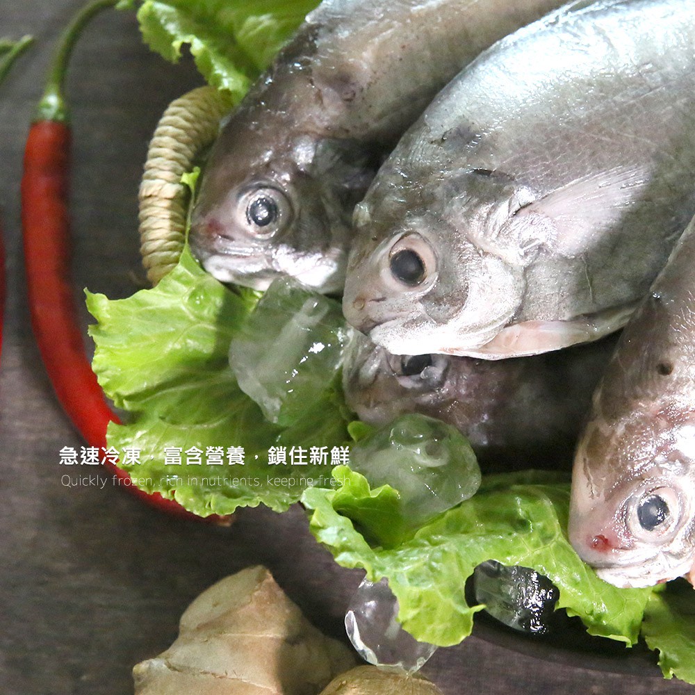 【大船入港】現流台灣野生肉魚