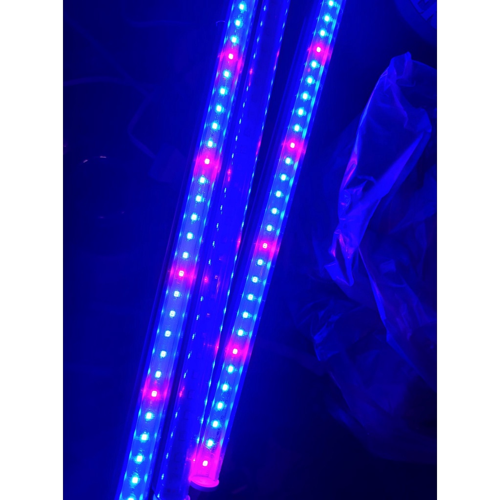 【偉旭日光生活館】  LED T5 4呎 植物燈  藍色 藍(450m):紅(660nm)=5:1 植物燈 水族燈