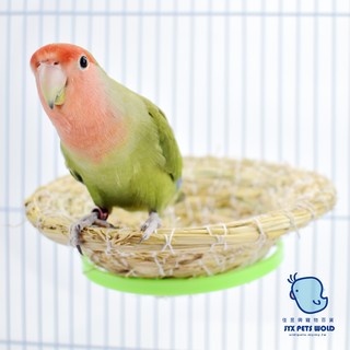 (不含巢)丸巢掛/圓巢掛│日本小林│K-20│寵物鳥、鸚鵡用│日用品│繁殖睡覺│佳昱興寵物百貨