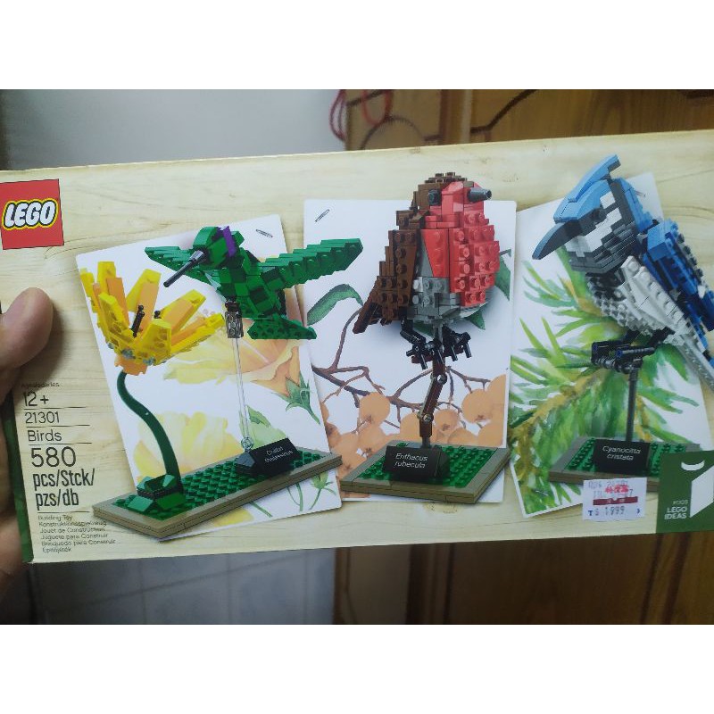 全新未拆 正版 公司貨 樂高 LEGO IDEAS 21301 BIRDS in hand 現貨