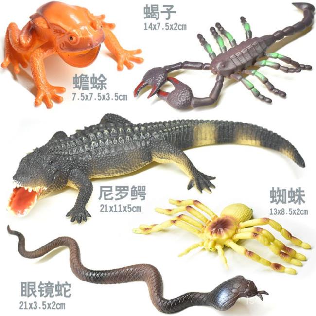 欧宝精品玩具出口實心仿真大鱷魚蛇蠍子蜘蛛蟾蜍昆蟲動物模型仿真