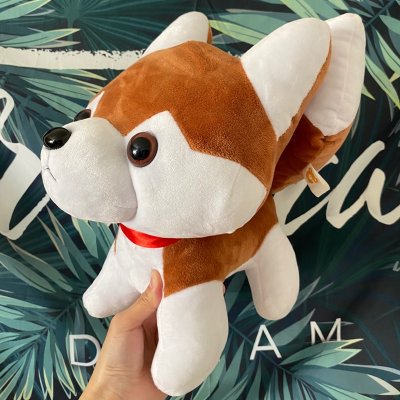 小狗娃娃 小狐狸狗小狼犬 蝦皮購物