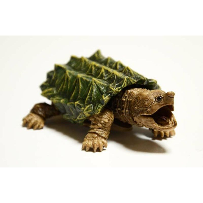 現貨-BANDAI萬代環保扭蛋 烏龜目03-鱷龜