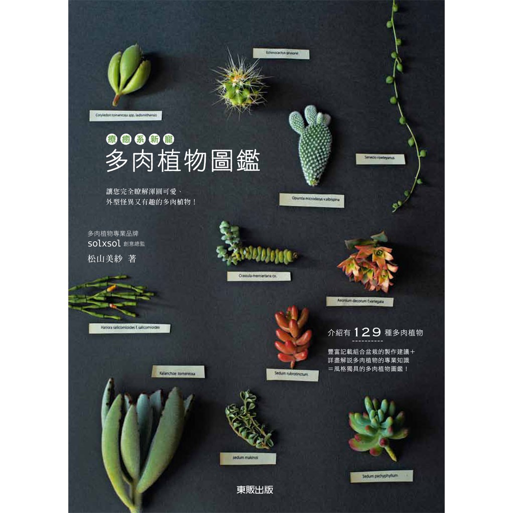 大師圖書台灣東販 療癒系新寵 多肉植物圖鑑 蝦皮購物