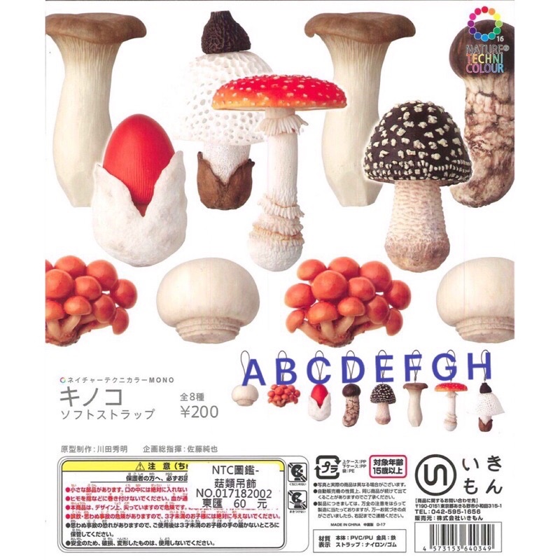 奇譚NTC圖鑑 香菇 菇類 蘑菇 吊飾扭蛋 轉蛋 日本正版 療癒 擺飾小物日本小物 搞怪 擬真 吊飾 蘑菇