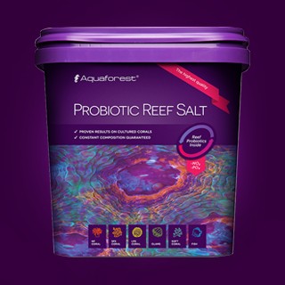 AF PROBIOTIC REEF SALT 益生菌專用鹽 10KG/22KG 一筆訂單只能一桶