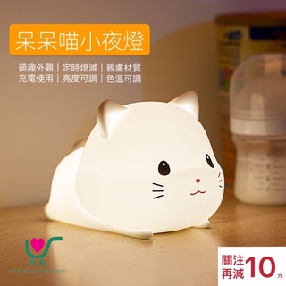 【臺灣現貨】24h內出貨！可愛 呆呆喵 夜燈 貓咪 氛圍燈 雙光源 USB充電 起夜 餵奶 聖誕禮物