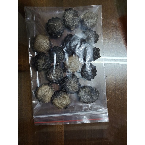 越南種木鱉果籽，特價每顆3元