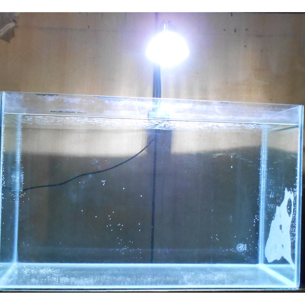 12W大功率LED泛光型5X3W全光譜400nm~840nm白光包膠軟管植物水族海水珊瑚缸夾燈