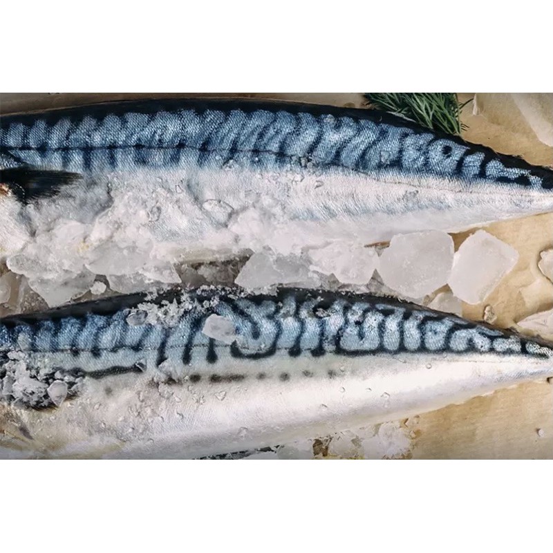 【海旭鮮の堅持】冷凍挪威薄鹽鯖魚片