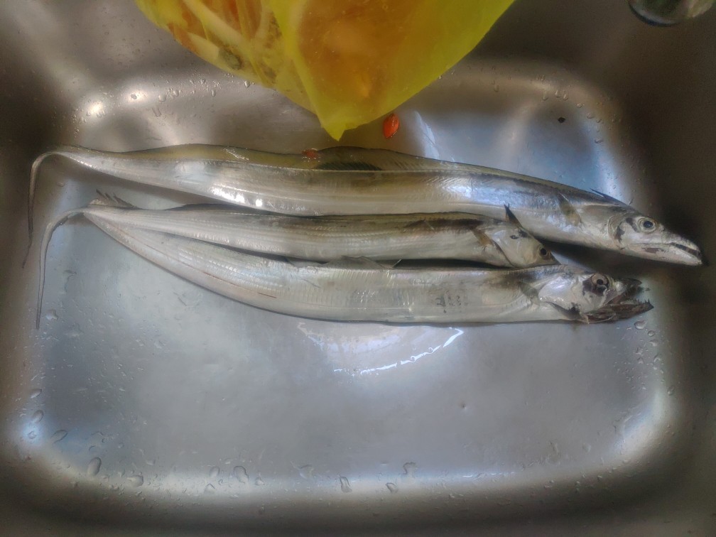 中壢鴻海釣具yamashita 天亞猛光波止太刀魚頭仕掛鯛魚頭岸拋天亞假餌魚鉤 蝦皮購物