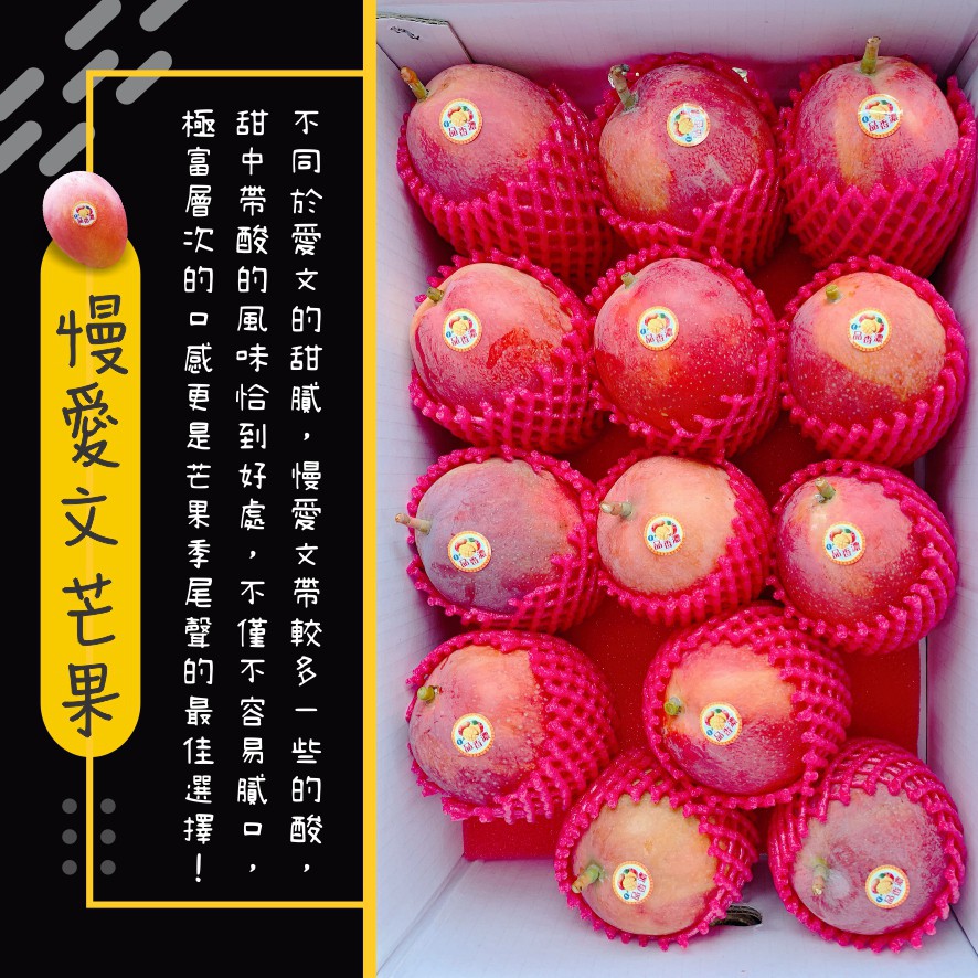 蘋果愛文 Ptt Dcard討論與高評價網拍商品 2021年10月 飛比價格