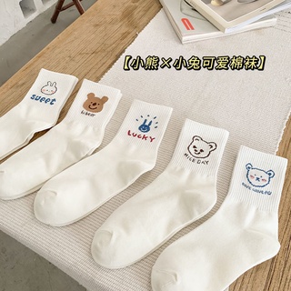 仙女小舖❤️韓國少女ins風小熊小兔襪子
