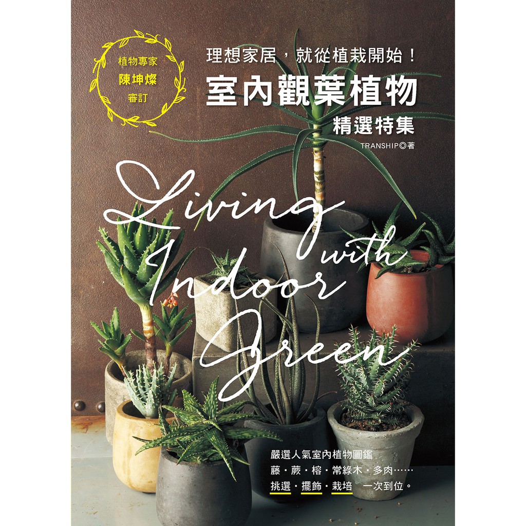 噴泉 理想家居 就從植栽開始 室內觀葉植物精選特集 蝦皮購物